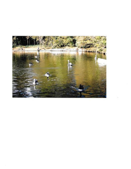 Life in the ER After Midnight Book 3