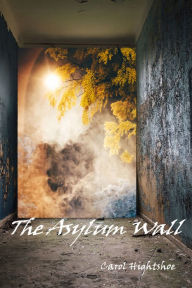 Title: The Asylum Wall, Author: Carol Hightshoe