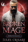 Broken Mage: A Silver Sentinel Wolf Shifter Romance