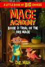 Mage Academy: Trial of the Fire Mage