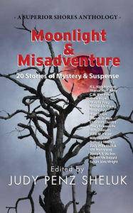 Title: Moonlight & Misadventure: 20 Stories of Mystery & Suspense, Author: Judy Penz Sheluk