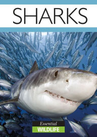 Title: Sharks: Essential Wildlife, Author: Jessica Toyne