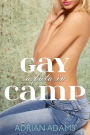 A Futa in Gay Camp (futanari on female)
