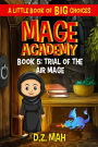 Mage Academy: Trial of the Air Mage