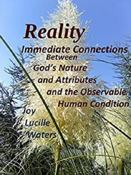 Reality, God's Attributes Inextricable: Immediate Connections Between God's Nature and Attributes and the Observable Human Condition