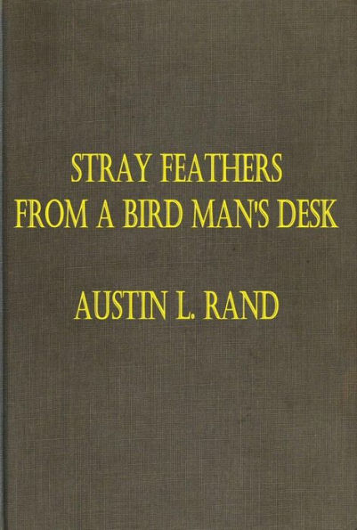 Feathers From a Bird Man's Desk