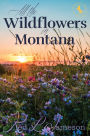 All the Wildflowers in Montana: Steamy Small-Town Contemporary Romance