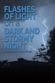 Title: Flashes of Light on a Dark and Stormy Night: A Flash Fiction Anthology, Author: Michele Venne