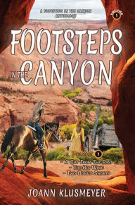 Title: A Gift from the Past and The Big Wind: An Anthology of Footsteps in the Canyon Adventures, Author: Joann Klusmeyer