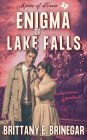 Enigma of Lake Falls: A Witty Historical Mystery