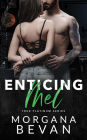 Enticing Mel: A Secret Baby Rock Star Romance