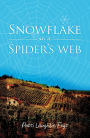 Snowflake on a Spider's Web