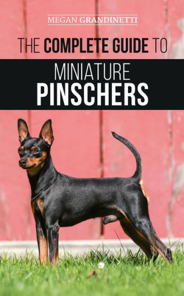 The Complete Guide to Miniature Pinschers