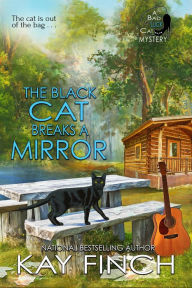 Title: The Black Cat Breaks a Mirror, Author: Kay Finch
