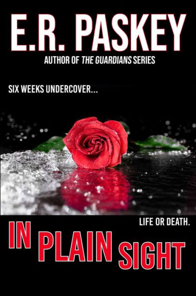 In Plain Sight: A Christian Mystery and Suspense Novel