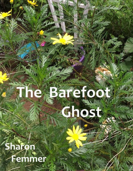 The Barefoot Ghost