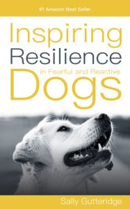 Inspiring Resilience In Fearful & Reactive Dogs