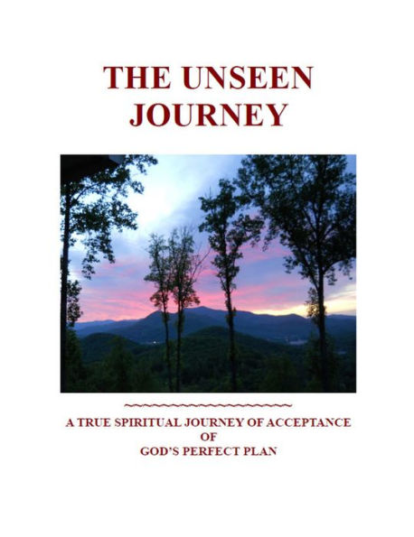 The Unseen Journey