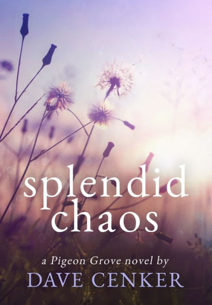 Splendid Chaos