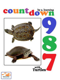 Title: Countdown with Turtles, Author: A. Learning