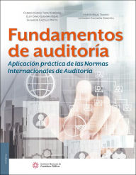 Title: Fundamentos de auditoria. Aplicacion practica de las Normas Internacionales de Auditoria, Author: Carmen Karina Tapia Iturriaga