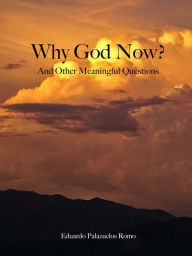 Title: Why God Now? And Other Meaningful Questions, Author: Eduardo Palazuelos Romo