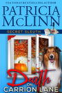 Death on Carrion Lane (Secret Sleuth, Book 6)