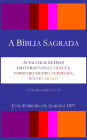 A Biblia Sagrada - As palavras de Deus em letras indigo, violeta, vermelho escuro, vermelho, rosa e laranja - Almeida