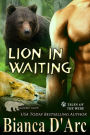 Lion in Waiting