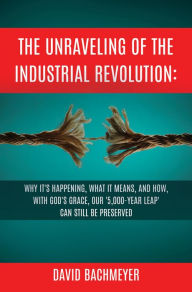Title: The Unraveling of the Industrial Revolution, Author: David Bachmeyer