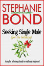 Seeking Single Male (For the Holidays): A romantic comedy