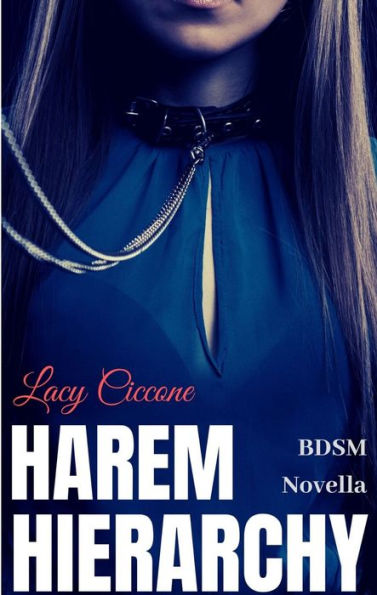 Harem Hierarchy: BDSM Novella