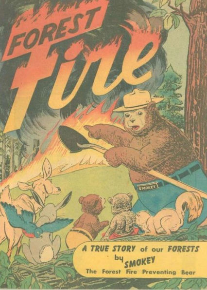 Forest Fire - A True Story of our Forests by Smokey