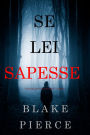 Se lei sapesse (Un giallo di Kate Wise Libro 1)