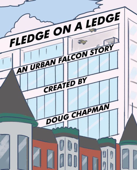 Fledge On A Ledge: An Urban Falcon Story