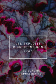 Title: Les Exploits d'un jeune Don Juan, Author: Guillaume Apollinaire