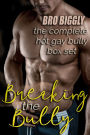 Breaking the Bully (Steamy Gay College Bullies Domination)