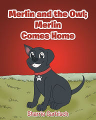 Title: Merlin and the Owl: Merlin Comes Home, Author: Sharrie Garbisch