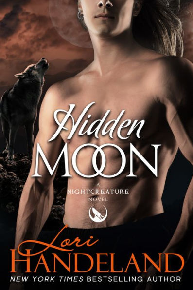 Hidden Moon: A Sexy Shifter Paranormal Romance Series