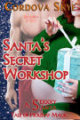 Santa's Secret Workshop