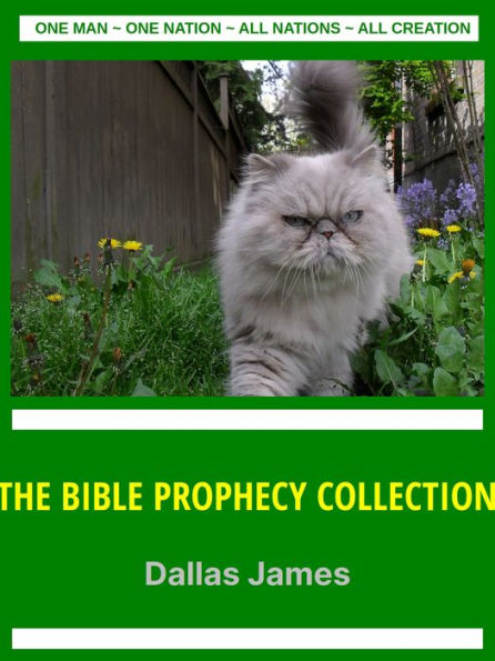 The Bible Prophecy Collection