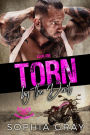 Torn by the Devil (Book 1)