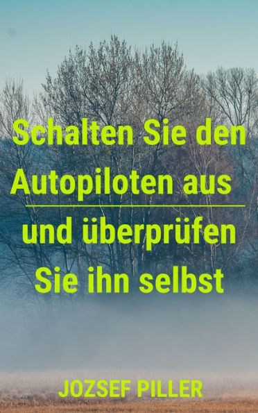 Schalten Sie den Autopiloten aus und uberprufen Sie ihn selbst
