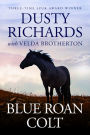 Blue Roan Colt