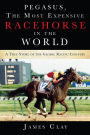 The Most Expensive Racehorse in the World
