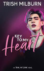 Key to My Heart: An Idol in Love K-Pop Romance