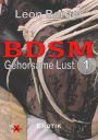 BDSM 1