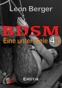 BDSM 4a