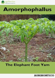 Title: Amorphophallus: The Elephant Foot Yam, Author: Agrihortico