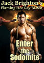 Enter the Sodomite: Book Two in the Ring of Sodom Trilogy